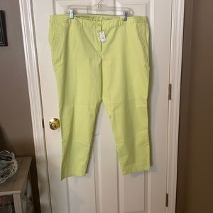 Talbots - NWT - light green/yellow - Weekender pants - cotton - so cute!